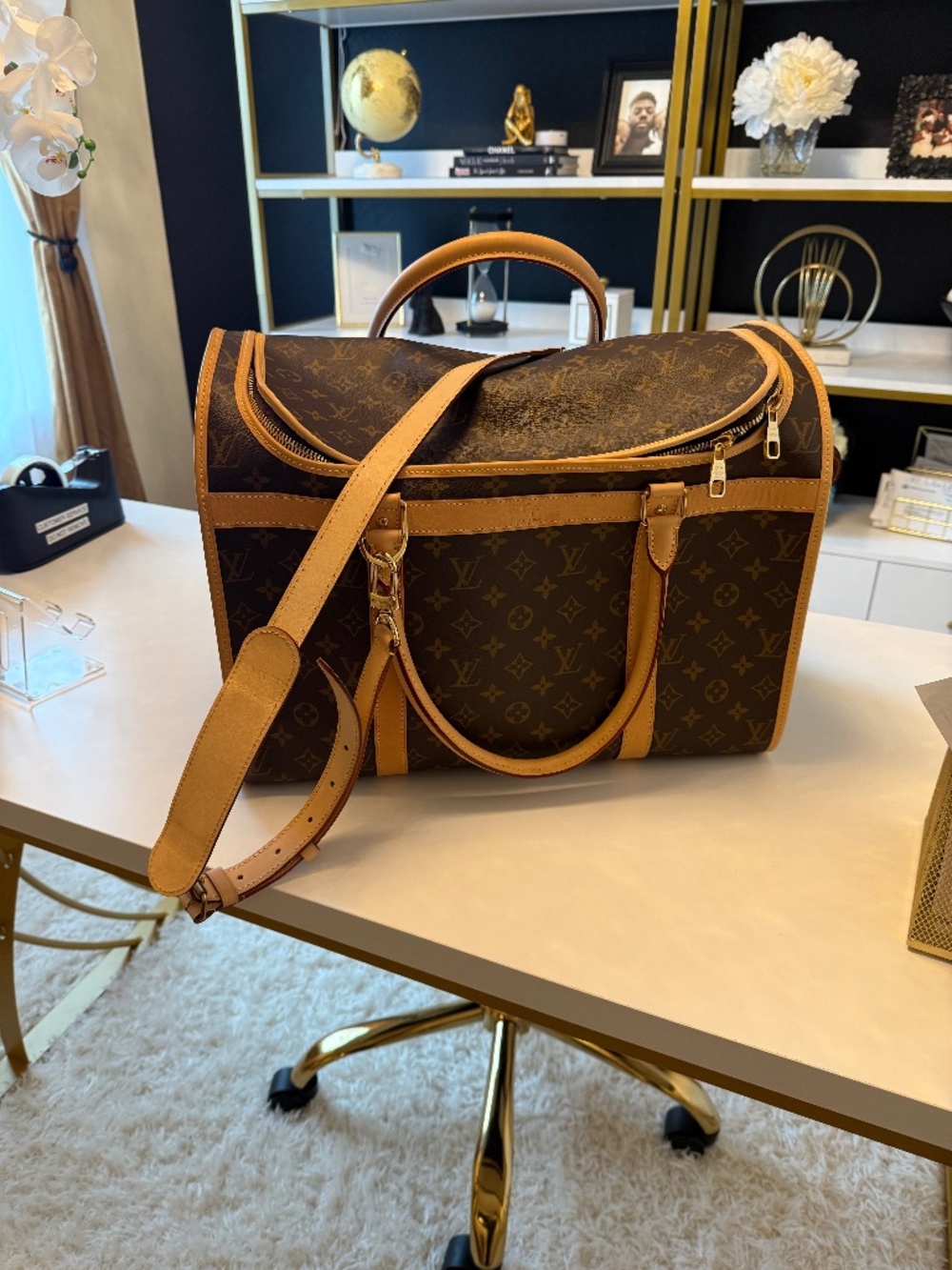 LV Pet Carrier